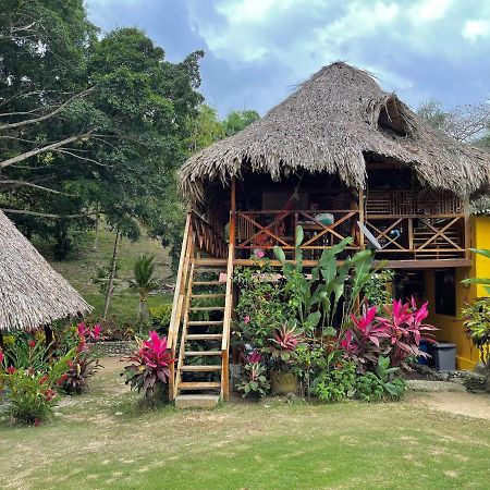 Ecohostal Palmares Del Rio Guachaca Bagian luar foto