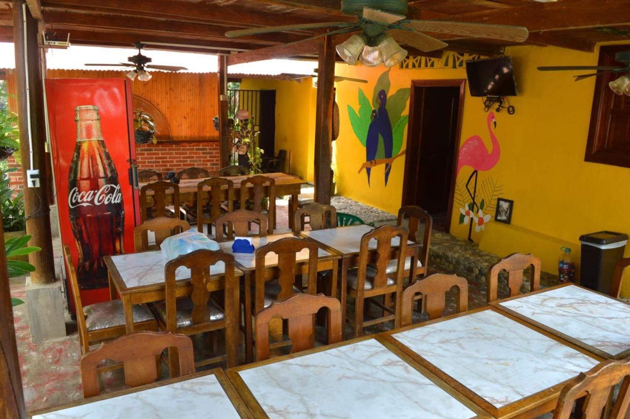 Ecohostal Palmares Del Rio Guachaca Bagian luar foto