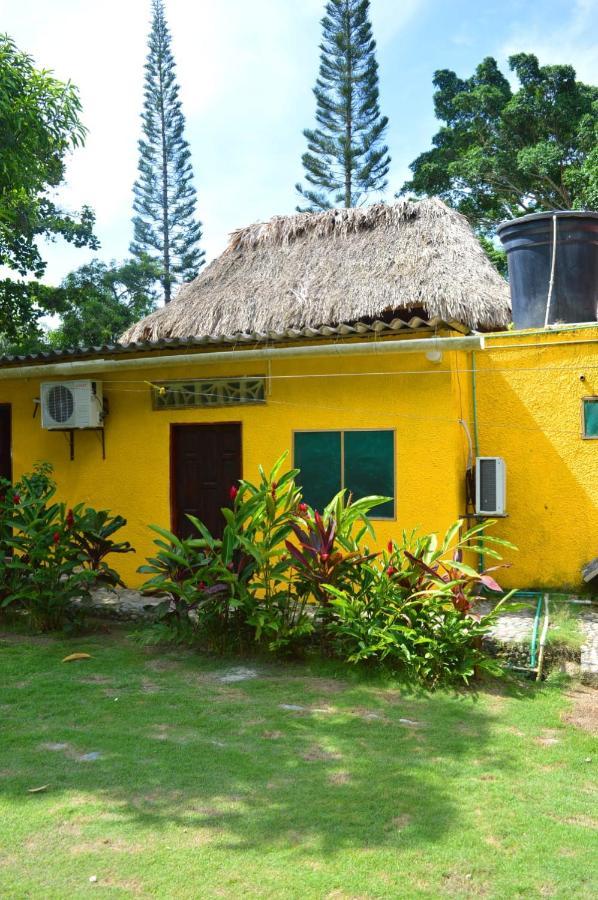 Ecohostal Palmares Del Rio Guachaca Bagian luar foto
