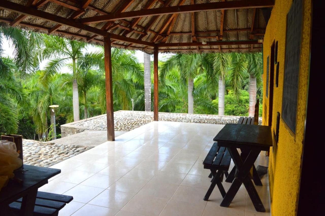 Ecohostal Palmares Del Rio Guachaca Bagian luar foto