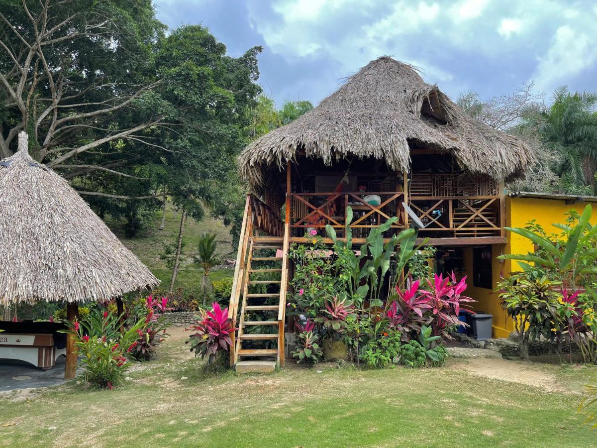 Ecohostal Palmares Del Rio Guachaca Bagian luar foto