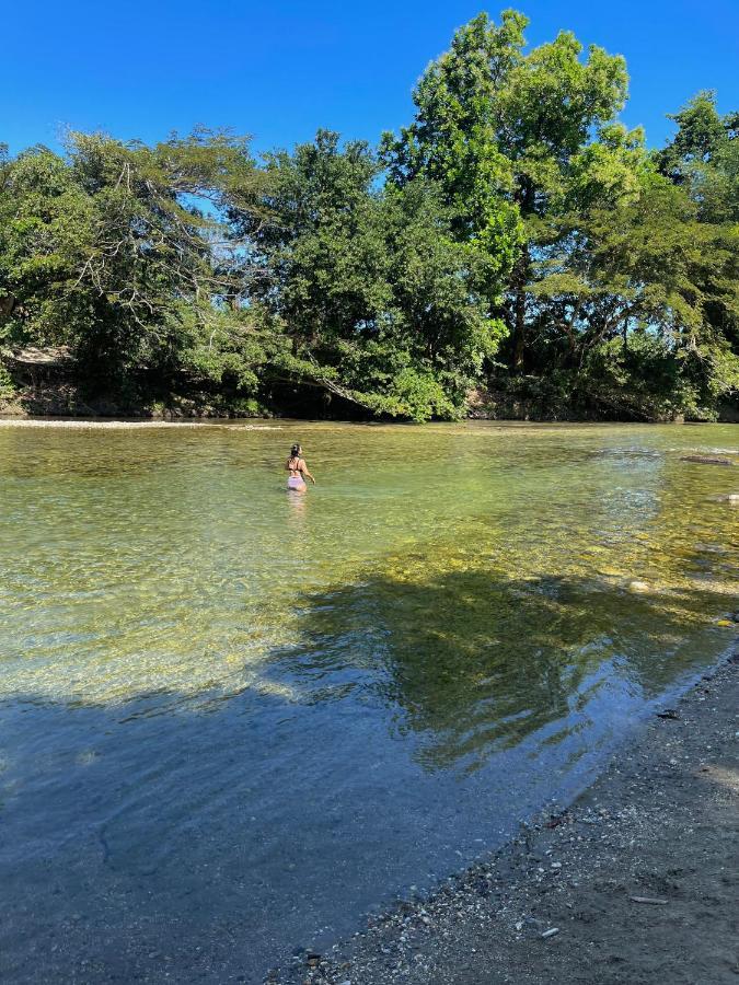 Ecohostal Palmares Del Rio Guachaca Bagian luar foto
