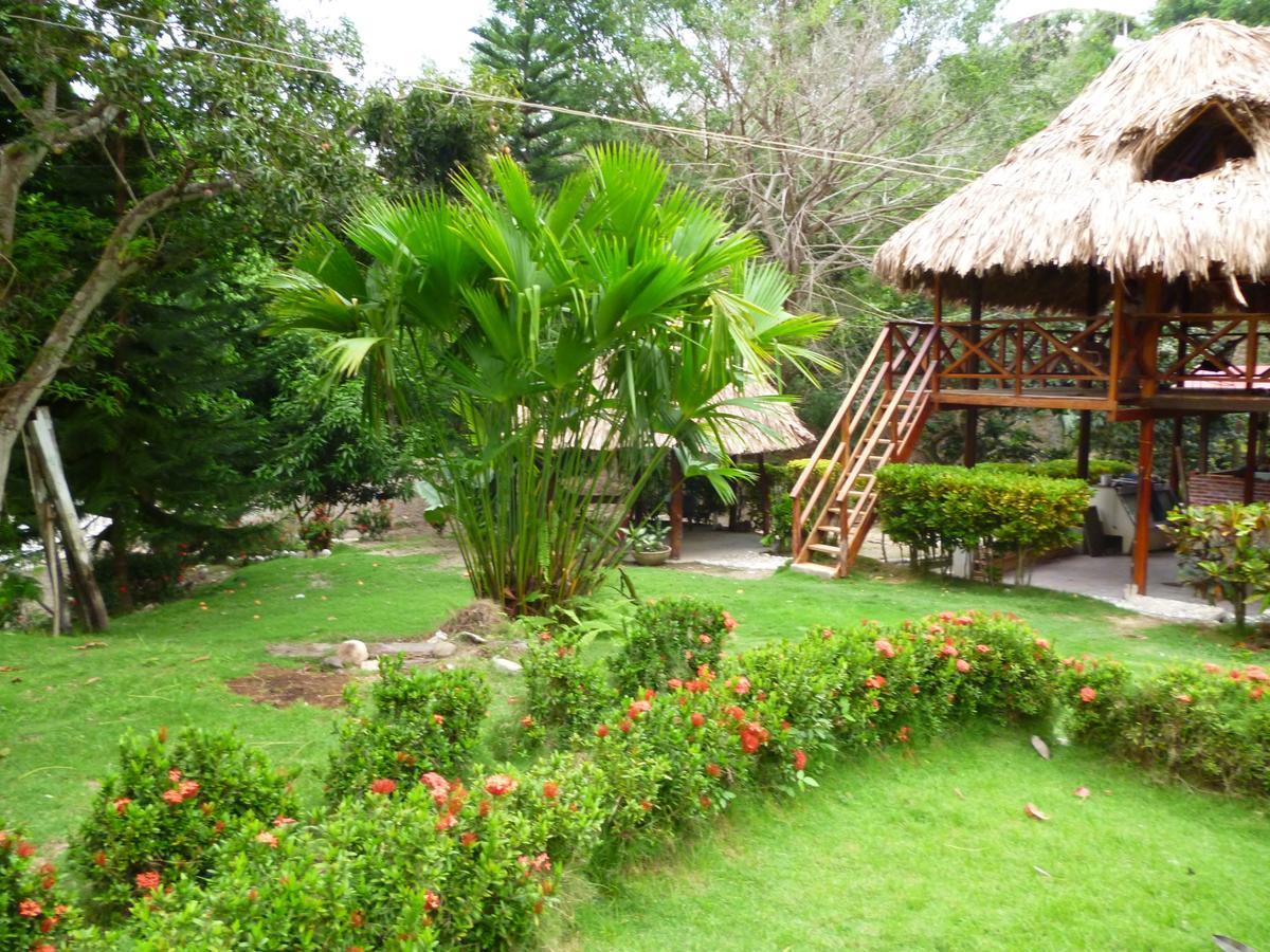 Ecohostal Palmares Del Rio Guachaca Bagian luar foto