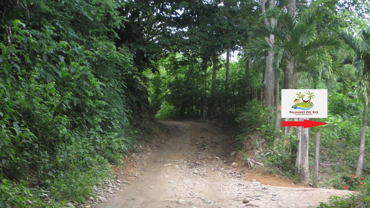 Ecohostal Palmares Del Rio Guachaca Bagian luar foto