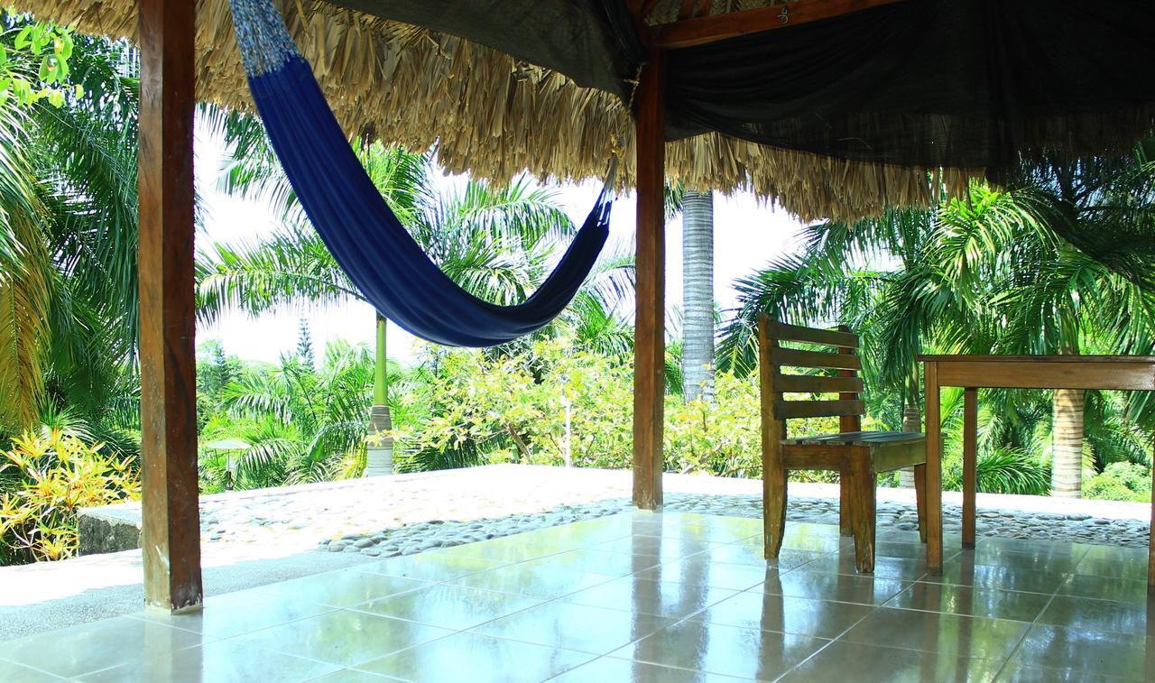 Ecohostal Palmares Del Rio Guachaca Bagian luar foto