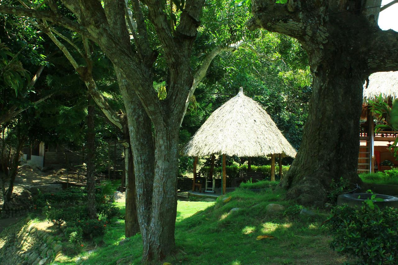 Ecohostal Palmares Del Rio Guachaca Bagian luar foto
