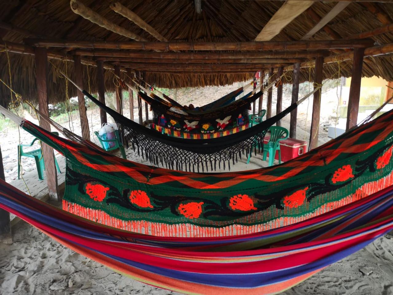 Ecohostal Palmares Del Rio Guachaca Bagian luar foto